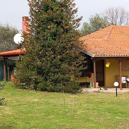 Olympos House Villa Litóchoron Dış mekan fotoğraf