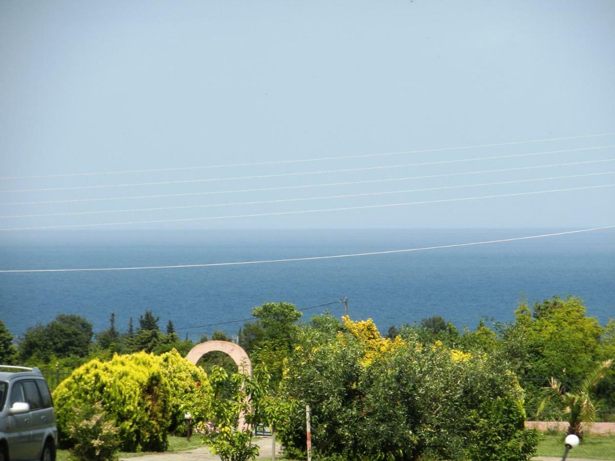 Olympos House Villa Litóchoron Dış mekan fotoğraf
